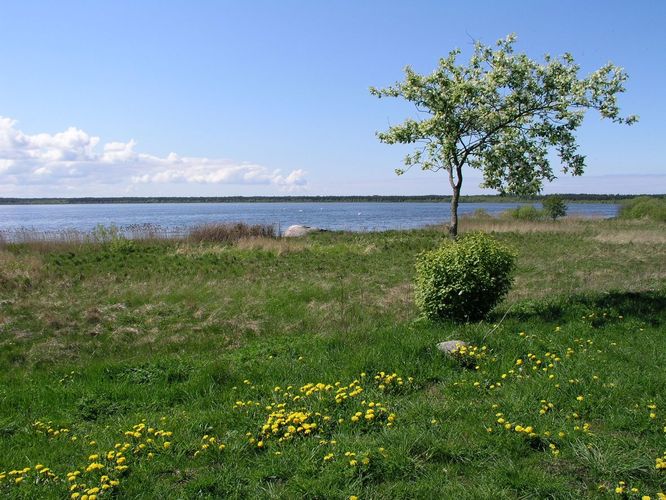 Maakond: Harjumaa Veekogu nimi: Kahala järv Pildistamise aeg: 19. mai 2008 Pildistaja: H. Timm Pildistamise koht: teadmata Asimuut: