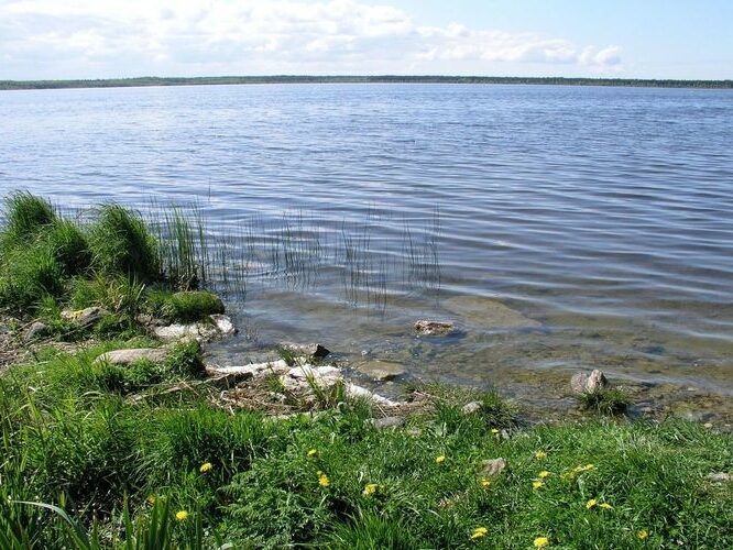 Maakond: Harjumaa Veekogu nimi: Kahala järv Pildistamise aeg: 19. mai 2008 Pildistaja: H. Timm Pildistamise koht: teadmata Asimuut: