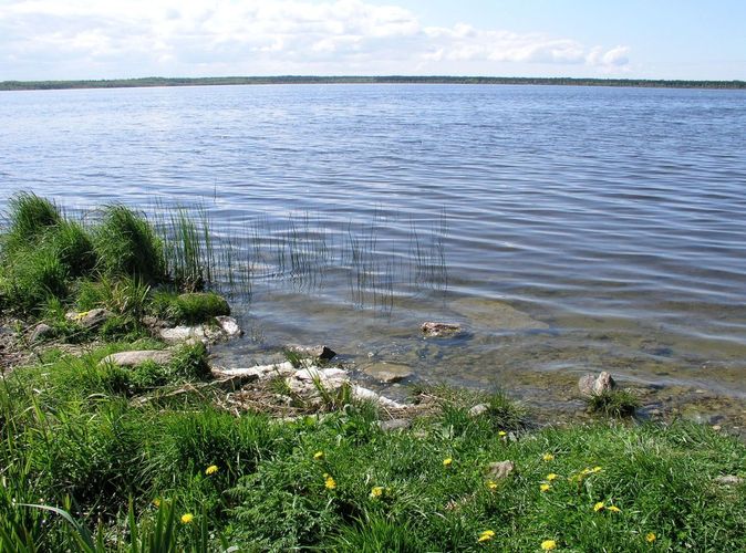 Maakond: Harjumaa Veekogu nimi: Kahala järv Pildistamise aeg: 19. mai 2008 Pildistaja: H. Timm Pildistamise koht: teadmata Asimuut: