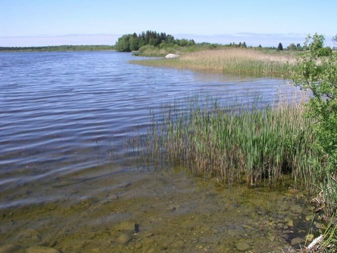 Maakond: Harjumaa Veekogu nimi: Kahala järv Pildistamise aeg: 19. mai 2008 Pildistaja: H. Timm Pildistamise koht: teadmata Asimuut: