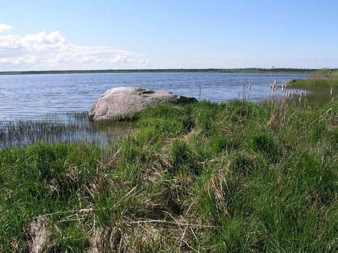 Maakond: Harjumaa Veekogu nimi: Kahala järv Pildistamise aeg: 19. mai 2008 Pildistaja: H. Timm Pildistamise koht: teadmata Asimuut: