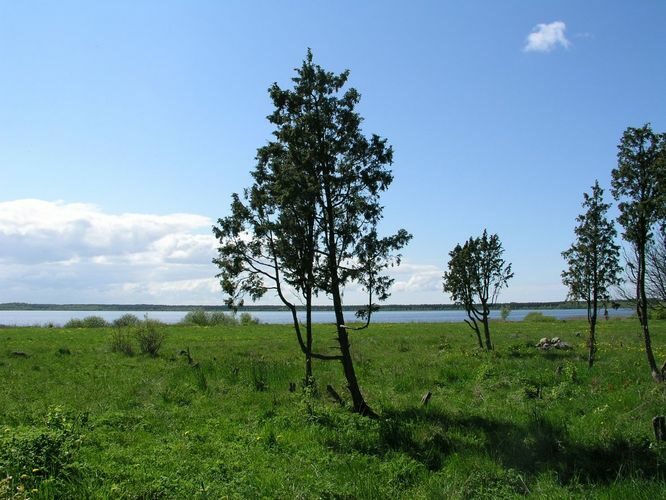 Maakond: Harjumaa Veekogu nimi: Kahala järv Pildistamise aeg: 19. mai 2008 Pildistaja: H. Timm Pildistamise koht: teadmata Asimuut: