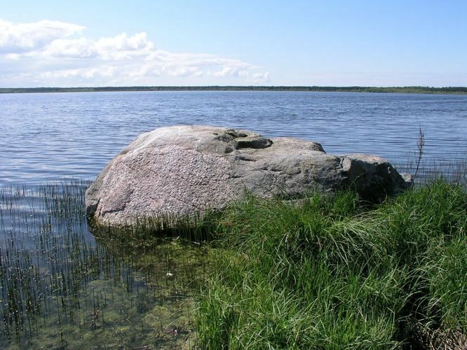 Maakond: Harjumaa Veekogu nimi: Kahala järv Pildistamise aeg: 19. mai 2008 Pildistaja: H. Timm Pildistamise koht: teadmata Asimuut: