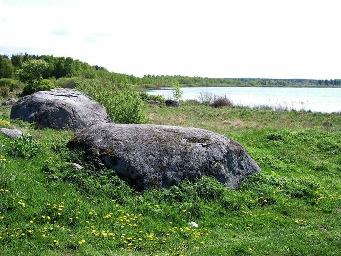 Maakond: Harjumaa Veekogu nimi: Kahala järv Pildistamise aeg: 19. mai 2008 Pildistaja: H. Timm Pildistamise koht: teadmata Asimuut: