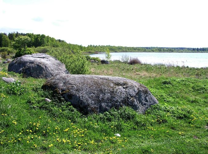 Maakond: Harjumaa Veekogu nimi: Kahala järv Pildistamise aeg: 19. mai 2008 Pildistaja: H. Timm Pildistamise koht: teadmata Asimuut: