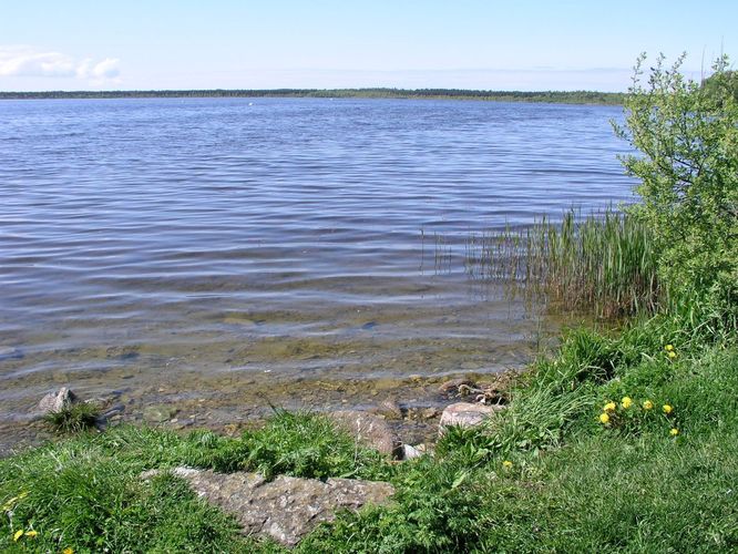 Maakond: Harjumaa Veekogu nimi: Kahala järv Pildistamise aeg: 19. mai 2008 Pildistaja: H. Timm Pildistamise koht: teadmata Asimuut: