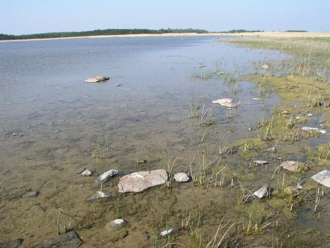 Maakond: Hiiumaa Veekogu nimi: Käina laht Pildistamise aeg: 23. mai 2003 Pildistaja: H. Timm Pildistamise koht: teadmata Asimuut: