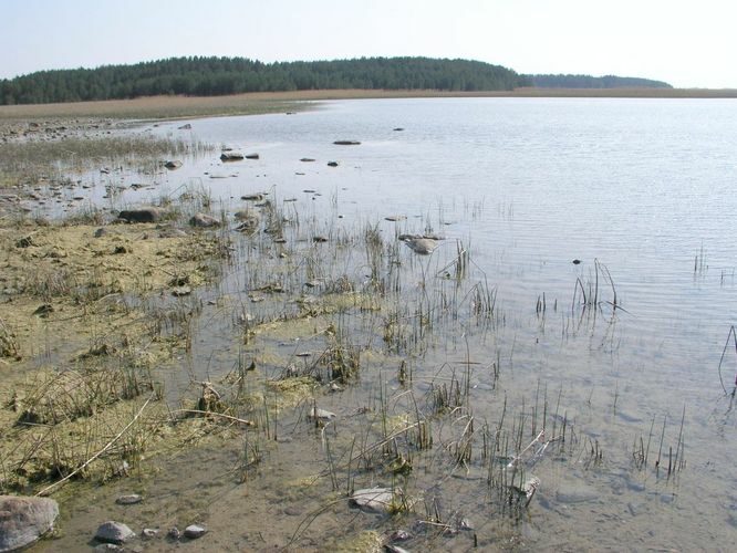 Maakond: Hiiumaa Veekogu nimi: Käina laht Pildistamise aeg: 23. mai 2003 Pildistaja: H. Timm Pildistamise koht: teadmata Asimuut: