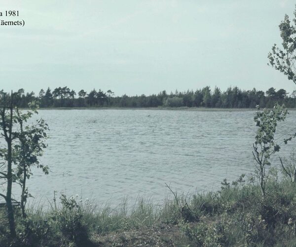 Maakond: Ida-Virumaa Veekogu nimi: Kalina järv Pildistamise aeg: 1981 Pildistaja: A. Mäemets Pildistamise koht: teadmata Asimuut: