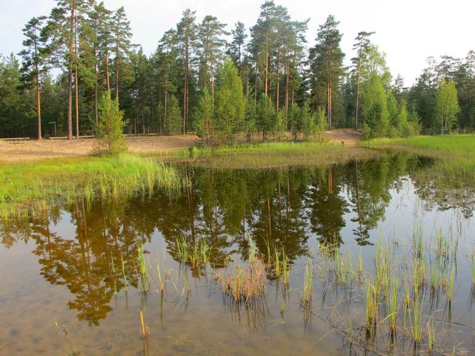 Maakond: Harjumaa Veekogu nimi: Kalmeoja liivakarjäär Pildistamise aeg: august 2010 Pildistaja: H. Timm Pildistamise koht: teadmata Asimuut: