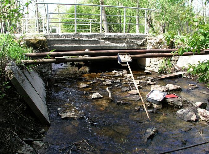 Maakond: Harjumaa Veekogu nimi: Karku oja Pildistamise aeg: 14. mai 2009 Pildistaja: H. Timm Pildistamise koht: alamjooks Asimuut: