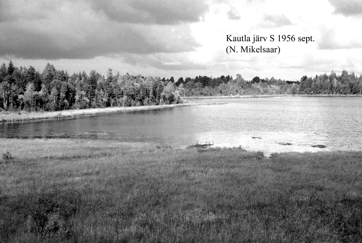 Maakond: Harjumaa Veekogu nimi: Kautla Saarejärv Pildistamise aeg: september 1956 Pildistaja: N. Mikelsaar Pildistamise koht: S kaldalt Asimuut: