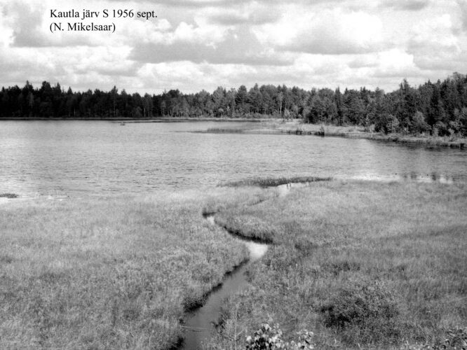 Maakond: Harjumaa Veekogu nimi: Kautla Saarejärv Pildistamise aeg: september 1956 Pildistaja: N. Mikelsaar Pildistamise koht: S kaldalt Asimuut: