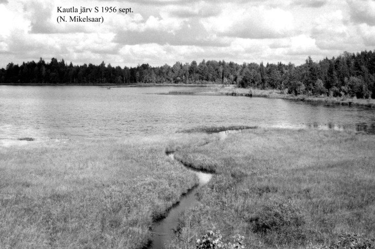 Maakond: Harjumaa Veekogu nimi: Kautla Saarejärv Pildistamise aeg: september 1956 Pildistaja: N. Mikelsaar Pildistamise koht: S kaldalt Asimuut: