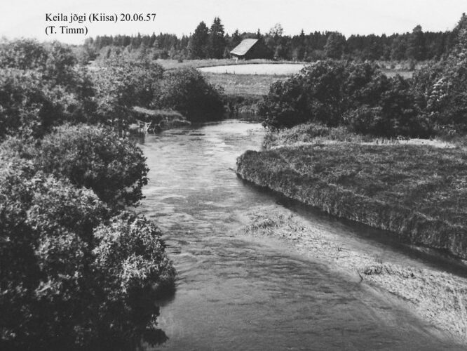 Maakond: Harjumaa Veekogu nimi: Keila jõgi Pildistamise aeg: 20. juuni 1957 Pildistaja: T. Timm Pildistamise koht: Kiisa sillalt p Asimuut: