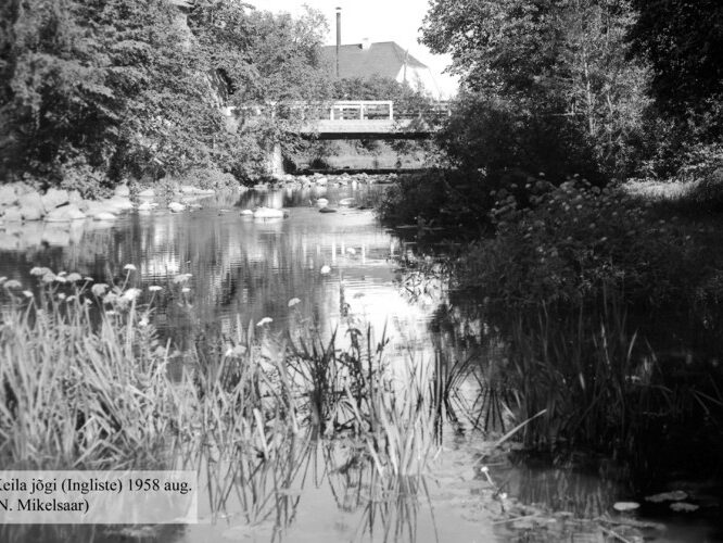 Maakond: Harjumaa Veekogu nimi: Keila jõgi Pildistamise aeg: august 1958 Pildistaja: N. Mikelsaar Pildistamise koht: Ingliste Asimuut: