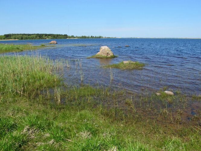 Maakond: Hiiumaa Veekogu nimi: Kirikulaht Pildistamise aeg: 21. mai 2012 Pildistaja: H. Timm Pildistamise koht: teadmata Asimuut: