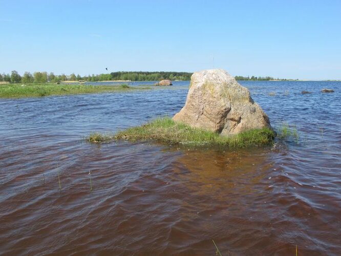 Maakond: Hiiumaa Veekogu nimi: Kirikulaht Pildistamise aeg: 21. mai 2012 Pildistaja: H. Timm Pildistamise koht: teadmata Asimuut: