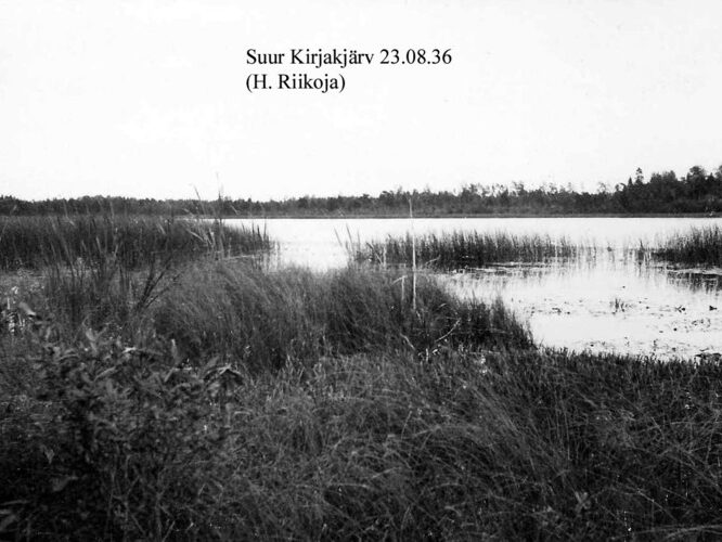 Maakond: Ida-Virumaa Veekogu nimi: Kirjakjärv Pildistamise aeg: 23. august 1936 Pildistaja: H. Riikoja Pildistamise koht: teadmata Asimuut: