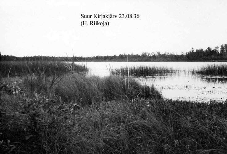 Maakond: Ida-Virumaa Veekogu nimi: Kirjakjärv Pildistamise aeg: 23. august 1936 Pildistaja: H. Riikoja Pildistamise koht: teadmata Asimuut: