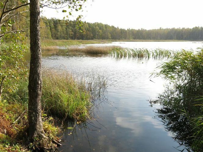 Maakond: Ida-Virumaa Veekogu nimi: Kirjakjärv Pildistamise aeg: 25. september 2014 Pildistaja: H. Timm Pildistamise koht: teadmata Asimuut: