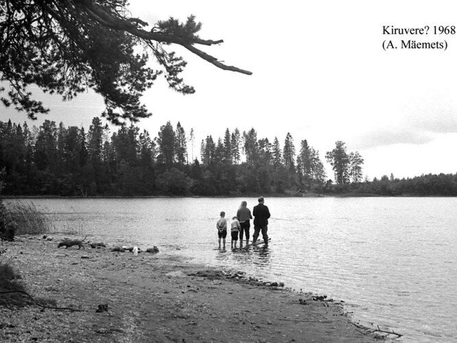 Maakond: Harjumaa Veekogu nimi: Kiruvere järv Pildistamise aeg: 1968 Pildistaja: A. Mäemets Pildistamise koht: teadmata Asimuut: