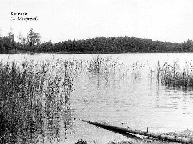 Maakond: Harjumaa Veekogu nimi: Kiruvere järv Pildistamise aeg: teadmata Pildistaja: A. Maspuran Pildistamise koht: teadmata Asimuut: