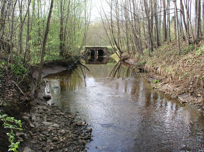 Maakond: Ida-Virumaa Veekogu nimi: Kiviõli kaevanduse kraav Pildistamise aeg: 6. mai 2009 Pildistaja: H. Timm Pildistamise koht: teadmata Asimuut: