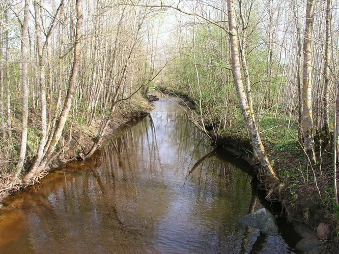 Maakond: Ida-Virumaa Veekogu nimi: Kiviõli kaevanduse kraav Pildistamise aeg: 6. mai 2009 Pildistaja: H. Timm Pildistamise koht: teadmata Asimuut: