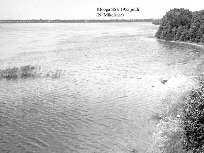 Maakond: Harjumaa Veekogu nimi: Klooga järv Pildistamise aeg: juuli 1953 Pildistaja: N. Mikelsaar Pildistamise koht: SSE kaldalt Asimuut: