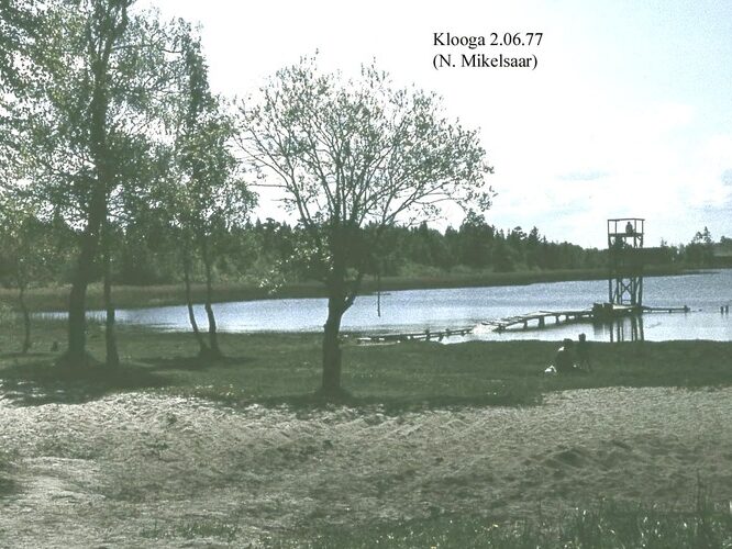 Maakond: Harjumaa Veekogu nimi: Klooga järv Pildistamise aeg: 2. juuni 1977 Pildistaja: N. Mikelsaar Pildistamise koht: teadmata Asimuut: