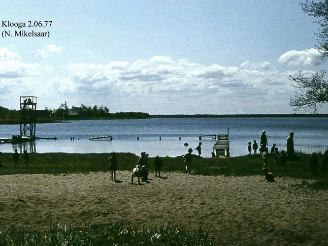 Maakond: Harjumaa Veekogu nimi: Klooga järv Pildistamise aeg: 2. juuni 1977 Pildistaja: N. Mikelsaar Pildistamise koht: teadmata Asimuut: