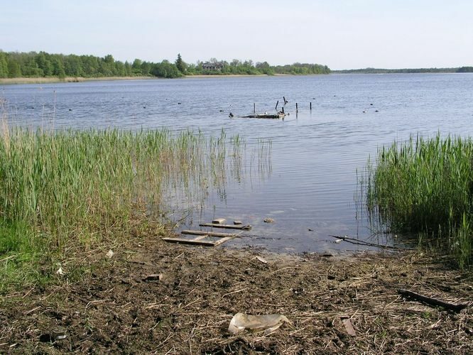 Maakond: Harjumaa Veekogu nimi: Klooga järv Pildistamise aeg: 24. mai 2008 Pildistaja: H. Timm Pildistamise koht: teadmata Asimuut: