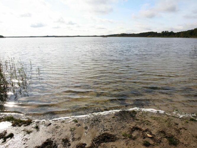 Maakond: Harjumaa Veekogu nimi: Klooga järv Pildistamise aeg: 26. september 2008 Pildistaja: H. Timm Pildistamise koht: teadmata Asimuut: