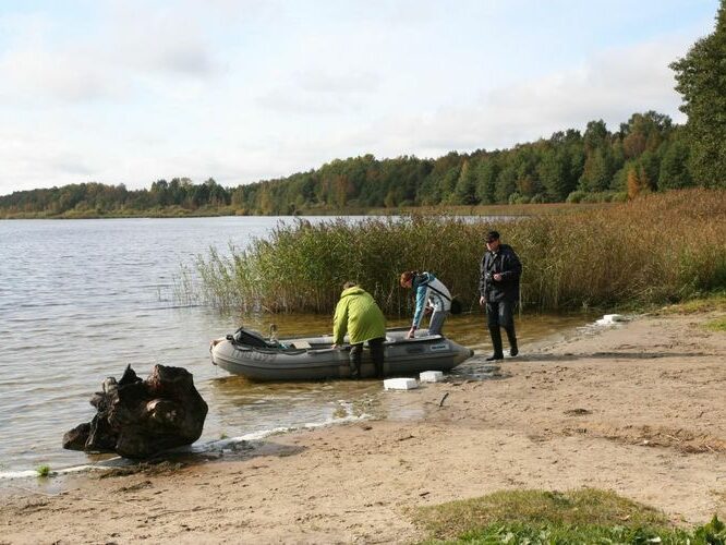 Maakond: Harjumaa Veekogu nimi: Klooga järv Pildistamise aeg: 26. september 2008 Pildistaja: H. Timm Pildistamise koht: teadmata Asimuut: