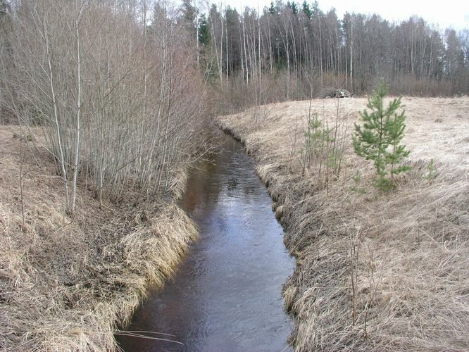 Maakond: Harjumaa Veekogu nimi: Kloostri jõgi Pildistamise aeg: 20. aprill 2006 Pildistaja: H. Timm Pildistamise koht: Siimika Asimuut: