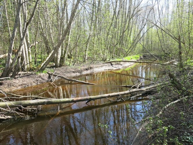 | Maakond: Harjumaa Veekogu nimi: Kloostri jõgi Pildistamise aeg: 28. aprill 2014 Pildistaja: H. Timm Pildistamise koht: alamjooks Asimuut: