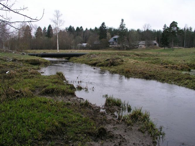 Maakond: Ida-Virumaa Veekogu nimi: Kohtla jõgi Pildistamise aeg: 24. aprill 2007 Pildistaja: H. Timm Pildistamise koht: Püssi Asimuut: