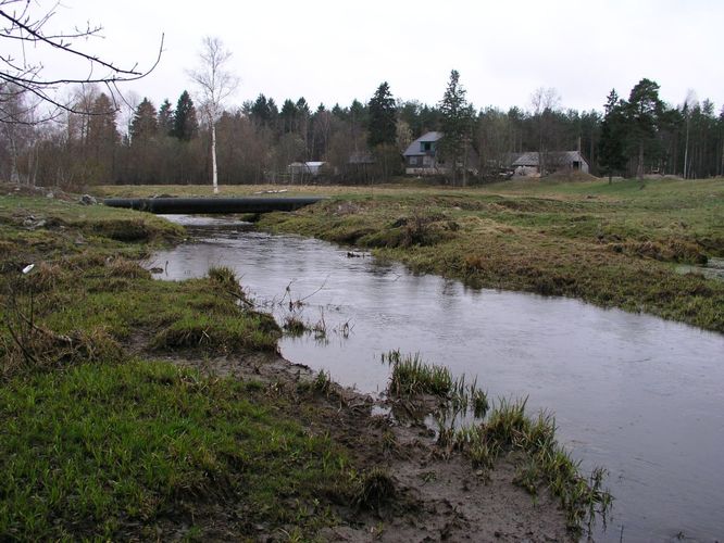 Maakond: Ida-Virumaa Veekogu nimi: Kohtla jõgi Pildistamise aeg: 24. aprill 2007 Pildistaja: H. Timm Pildistamise koht: Püssi Asimuut: