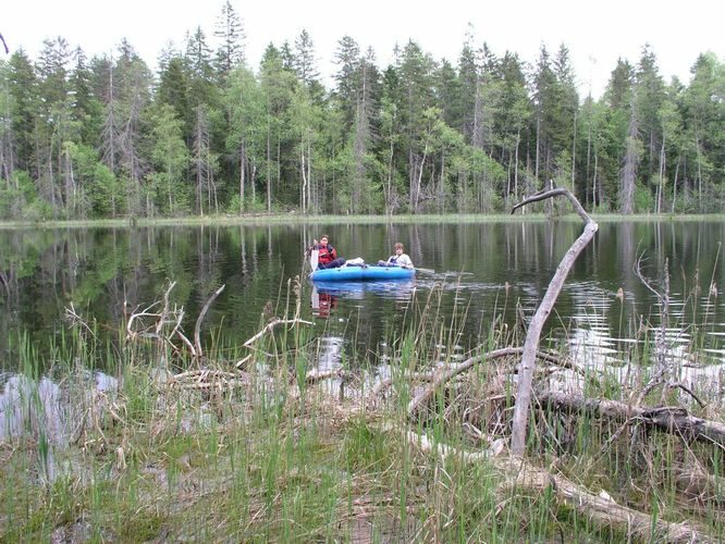 Maakond: Ida-Virumaa Veekogu nimi: Kõnnu Pikkjärv Pildistamise aeg: 31. mai 2003 Pildistaja: H. Timm Pildistamise koht: teadmata Asimuut: