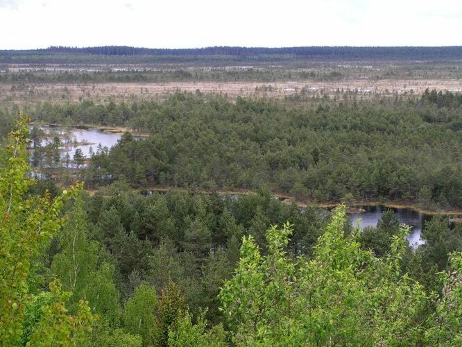 Maakond: Harjumaa Veekogu nimi: Kõnnu Suursoo Pildistamise aeg: 24. mai 2004 Pildistaja: H. Timm Pildistamise koht: Paukjärve tornist Asimuut: