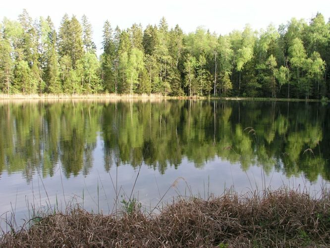 Maakond: Ida-Virumaa Veekogu nimi: Kõnnu Ümarjärv Pildistamise aeg: 31. mai 2003 Pildistaja: H. Timm Pildistamise koht: teadmata Asimuut: