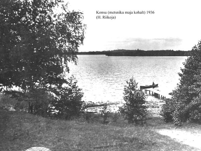 Maakond: Ida-Virumaa Veekogu nimi: Konsu järv Pildistamise aeg: juuli 1953 Pildistaja: N. Mikelsaar Pildistamise koht: N-osa Asimuut: NW