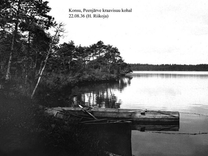 Maakond: Ida-Virumaa Veekogu nimi: Konsu järv Pildistamise aeg: 22. august 1936 Pildistaja: H. Riikoja Pildistamise koht: Peenj Asimuut: