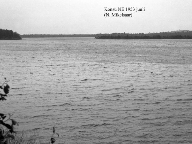 Maakond: Ida-Virumaa Veekogu nimi: Konsu järv Pildistamise aeg: juuli 1953 Pildistaja: N. Mikelsaar Pildistamise koht: NE Asimuut: SW