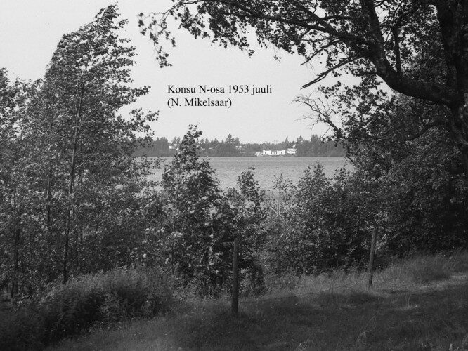 Maakond: Ida-Virumaa Veekogu nimi: Konsu järv Pildistamise aeg: juuli 1953 Pildistaja: N. Mikelsaar Pildistamise koht: N-osa Asimuut: NW