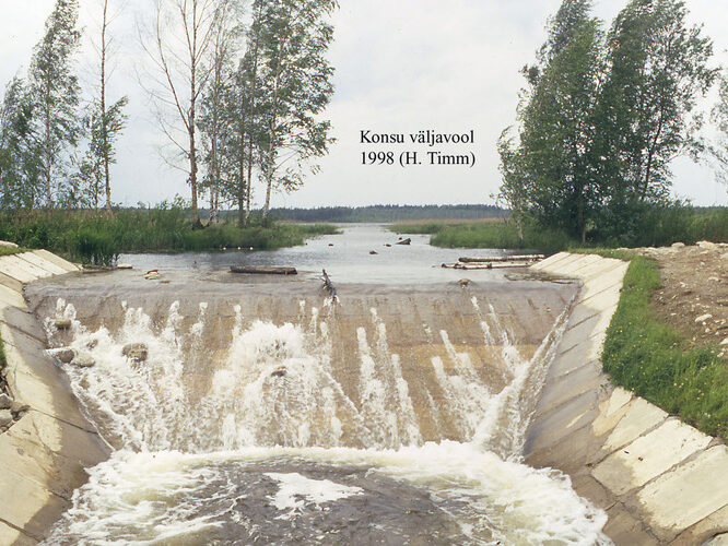 Maakond: Ida-Virumaa Veekogu nimi: Konsu järv Pildistamise aeg: 1998 Pildistaja: H. Timm Pildistamise koht: v Asimuut: W