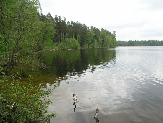 Maakond: Ida-Virumaa Veekogu nimi: Konsu järv Pildistamise aeg: 23. mai 2006 Pildistaja: H. Timm Pildistamise koht: teadmata Asimuut: