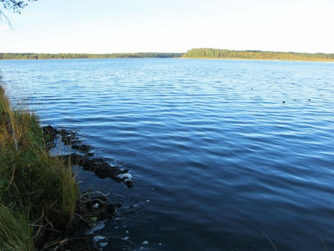 Maakond: Ida-Virumaa Veekogu nimi: Konsu järv Pildistamise aeg: 30. september 2010 Pildistaja: H. Timm Pildistamise koht: teadmata Asimuut: