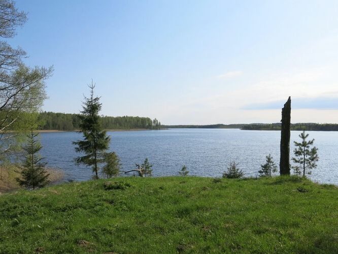 Maakond: Ida-Virumaa Veekogu nimi: Konsu järv Pildistamise aeg: 14. mai 2013 Pildistaja: H. Timm Pildistamise koht: teadmata Asimuut: